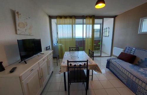 Le Grau-dʼAgde Apartment | Appartement T2 4 pers - Grau d'Agde, Front de Mer - FR-1-423-201