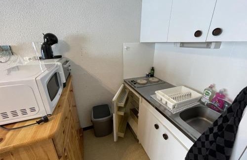 Laveissiere Apartment | Appartement T2 cabine avec balcon, face aux pistes, exposé sud, commerces à proximité - FR-1-787-29