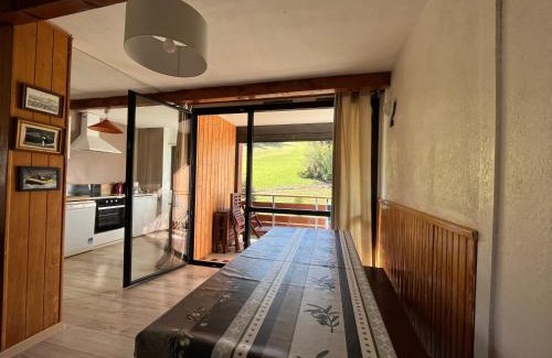 Le Sauze Apartment | Appartement T2 face aux pistes avec terrasse, 9 couchages, proche commerces et piscine - FR-1-165A-103