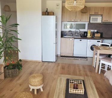 Mauguio Apartment | Appartement T2 sur Mauguio avec grande terrasse