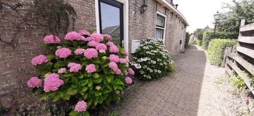 Marssum Apartment | Appartement Torenzicht - Leeuwarden