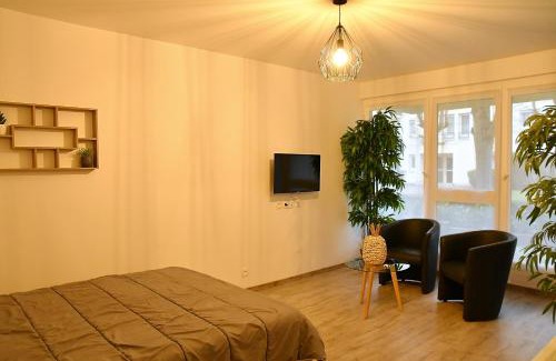 Draveil Apartment | Appartement Tropical et JACUZZI Balnéothérapie Draveil