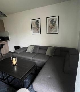 Corbeil-Essonnes Apartment | Appartement vert