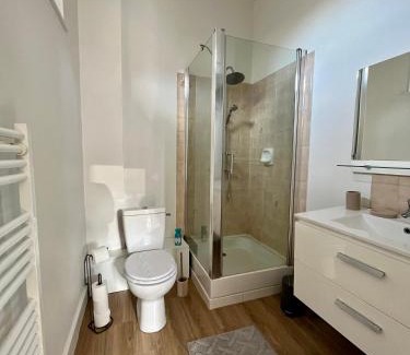 Vieux Vichy Apartment | Appartement Vichy - Hyper Centre