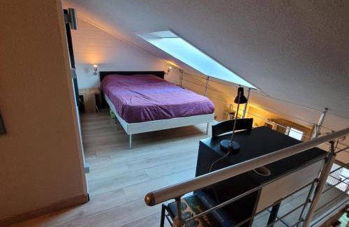 Faverges-Seythenex Apartment | Appartement vue montagne