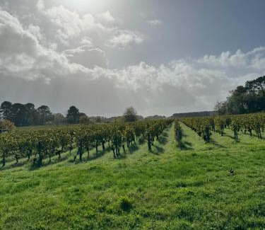 Martillac Apartment | Appartement vue pano sur vignes