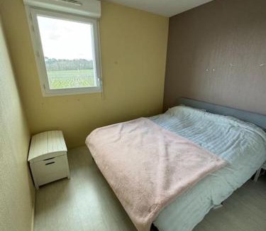 Martillac Apartment | Appartement vue pano sur vignes