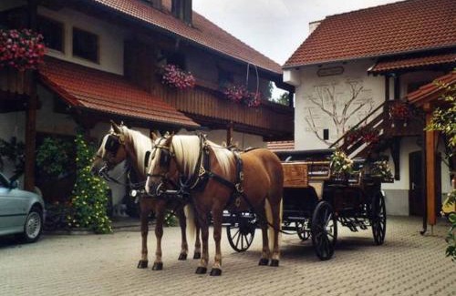 Bad Fuessing Apartment | Appartementhaus "Haflinger Hof"