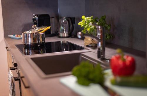 Saalbach-Hinterglemm Apartment | Appartements Fürstauer, JOKERCARD INCLUDED