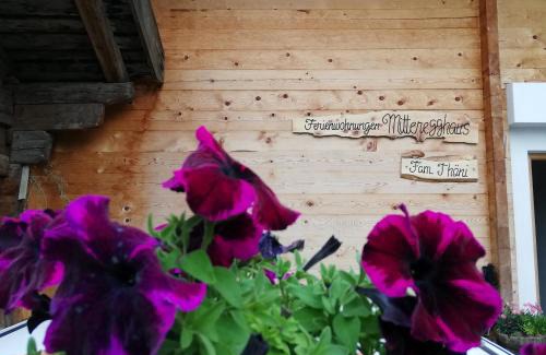 Ultimo Apartment | Appartements Mitteregghaus