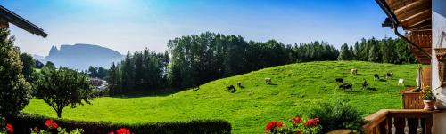 Collalbo House | Appartments Neuhof