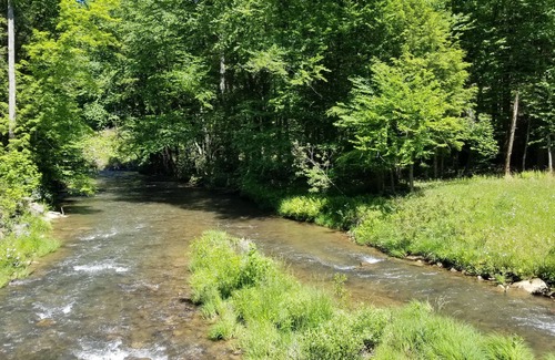 Helvetia RV Rental | Appenzell - Riverside RV Site A4 Mountain Views & Trout Stream