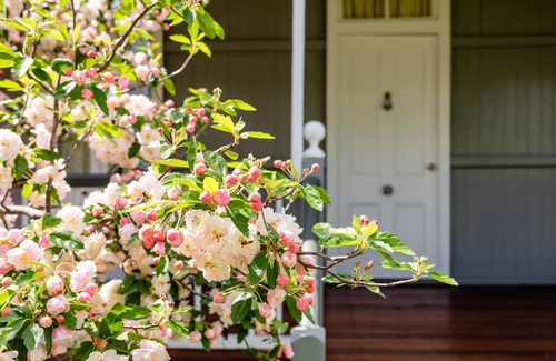 Stanthorpe House | Apple Blossom Cottage