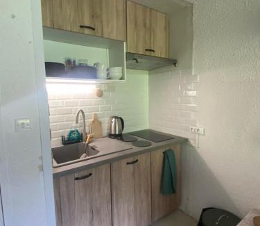 La Mongie Apartment | Appt chaleureux 2 - 4 personnes au pied des pistes - draps et linges de toilette non fournis - ménage non inclus - attention rénovation de façade actuellement