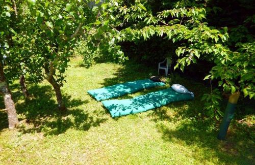 La Terrasse Apartment | Appt Independant 4 5 ou 6 personnes piscine direct gare ou aeroport Jardin Piscine