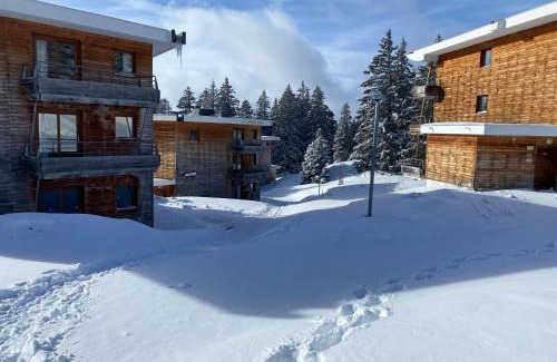 Chamrousse Apartment | apt 4/6 pers aux villages du Bachat chamrousse