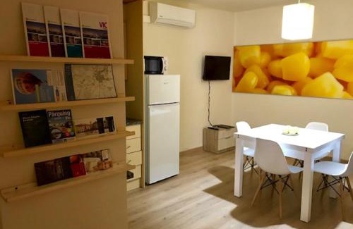 Vic Apartment | APT5 DÚPLEX Acollidor al Centre de Vic APTGARBI