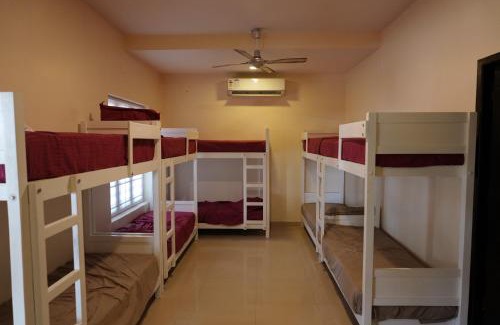 Kuzhuppilly Resort | Arabian Pearl Beach Resort Cherai
