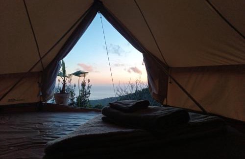 Ribeira Brava Other | Arambha ecovillage farmstay