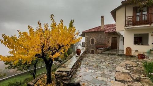 Raftis Villa | Arcadianis Villa at Psari Trikolonon Gortynia