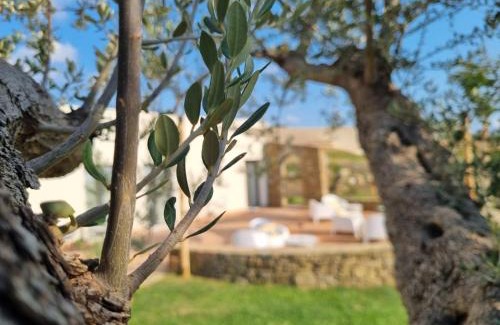 Capaccio-Paestum Bed & Breakfast | Archaia