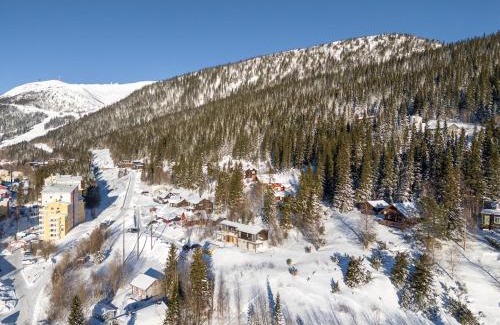 Are Ski Chalet | Architect villa with a view