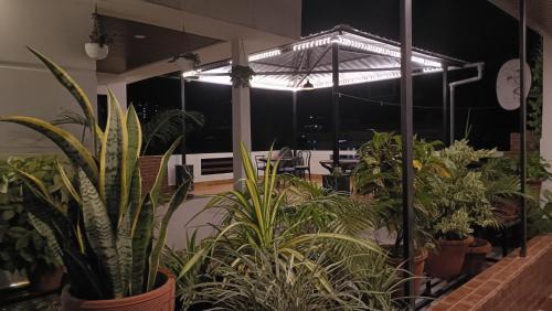 Sualkuchi House | Areca Homestay