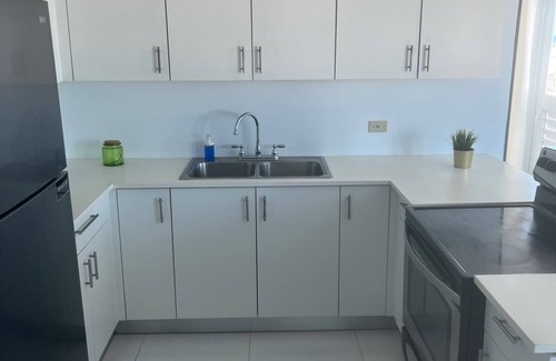 Arecibo Pueblo Apartment | Arecibo Hotel 4301