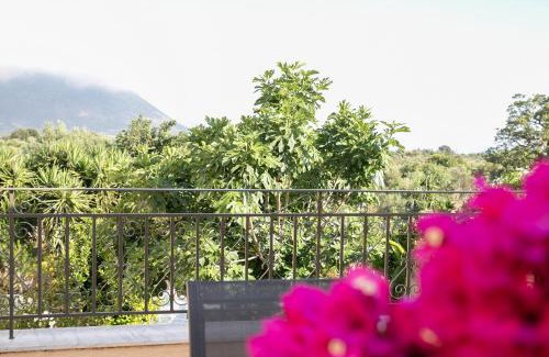 Areopoli Apartment | Areopolis Central