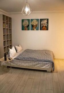 Tractorul Apartment | Ariel Apartment - Balcony & Free Parking