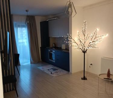 Tractorul Apartment | Ariel Apartment - Balcony & Free Parking
