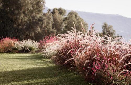 Marina di Zambrone Bed & Breakfast | Armacera Resort