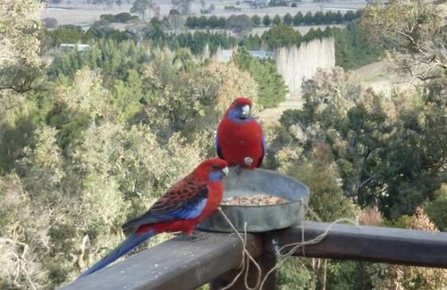 Armidale Apartment | Armidale Wejalee B&B