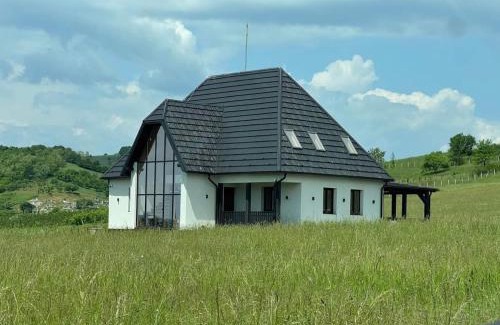 Sintereag House | arra housing near Bistrita