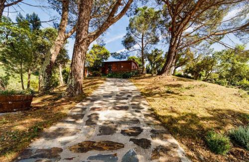 Castelo de Paiva House | Arrabia Bunga Payva