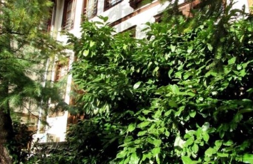 Ustovo House | Art House, Smolyan, Bulgara
