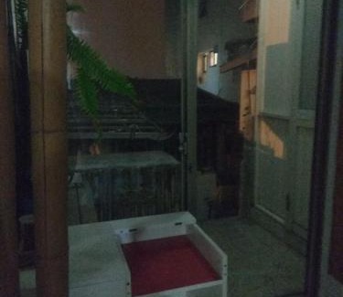 Xincheng House | Art Taiwan Homestay