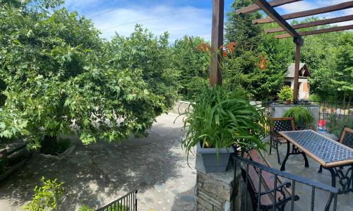 Tsagarada House | Artemisia House