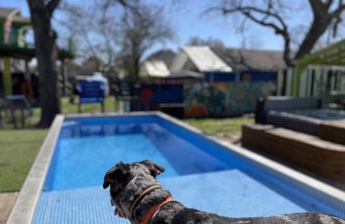 Chestnut House | Artsy East Austin Hideaway