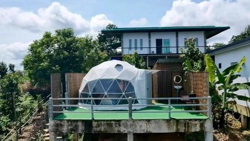Mae Suai Other | ASA Private Homestay - โดมหมีขาว