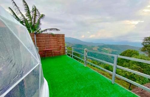 Mae Suai Other | ASA Private Homestay - โดมหมีขาว
