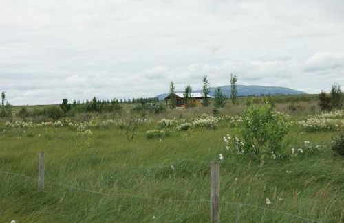Selfoss House | Asparkot
