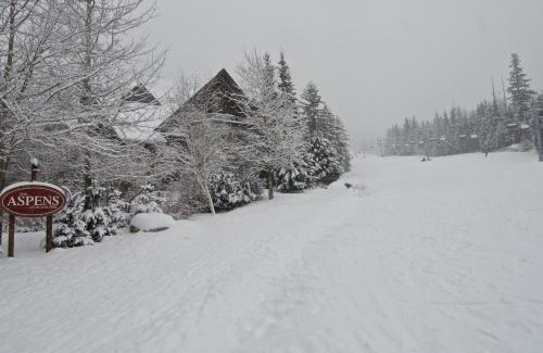 Upper Village Apartment | Aspens on the Mountain Ski In Out