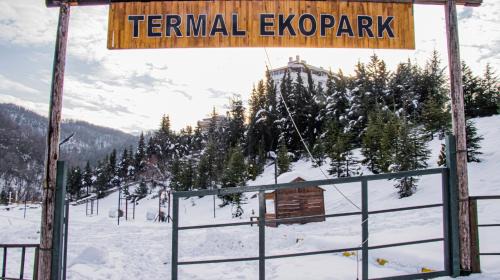 Termal Hotel | Asr-ı Ala Yalova Thermal