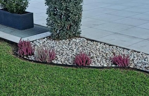 Paestum Bed & Breakfast | Assteas Rooms