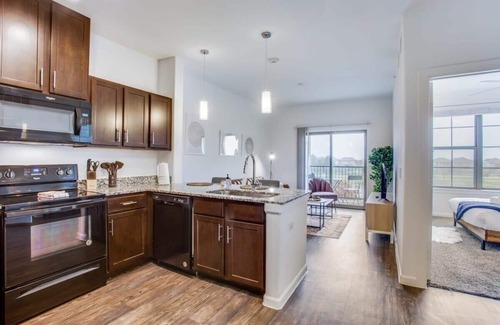 McNeil Apartment | Astonishing CozySuites on I-35 w/pool &parking #08