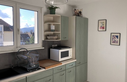 Obernai Apartment | At the foot of the Vosges