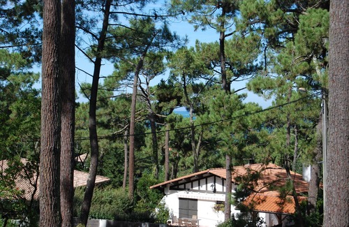 Pyla-sur-Mer Villa | At the Pyla, in the heart of the Corniche district, family villa under the pines