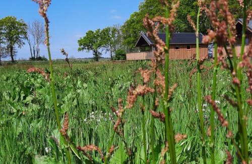 Ruinerwold House | Atmospheric lodge with unobstructed view located in beautiful Drenthe