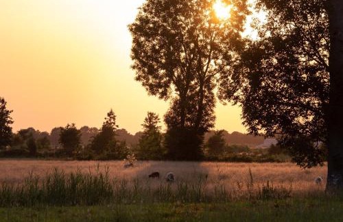 Ruinerwold House | Atmospheric lodge with unobstructed view located in beautiful Drenthe